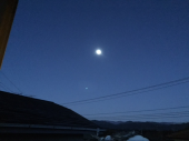 今朝、霜が降りました 画像2