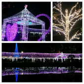 ☆イルミネーション☆ 画像2