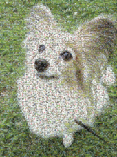 ☆ちょうど一カ月☆ 画像2