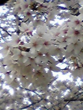 歓送迎会☆ 画像1