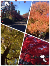 皇居ラン♪ 画像2