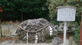 下鴨神社へ