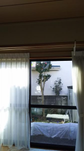 暮れ～の元気なご挨拶～♪ 画像3