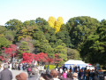 クリスマスツリーの日
