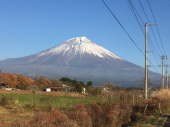 年末の行事 画像2