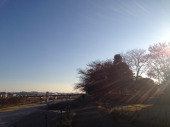 冷え冷え～～♪ 画像1