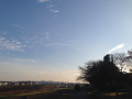アン♪アン♪