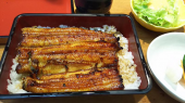 鰻を食べに、、、 画像1