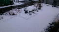 初雪で～～す