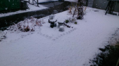 初雪で～～す 画像3