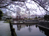 公園を散歩。 画像3
