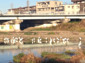 あべひろしさん♪ 画像2