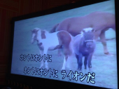 雑感（正解でいいだろ編） 画像3