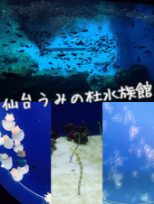 今日は本クリスマス 画像1