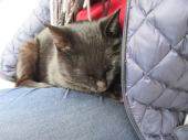 no title 画像1