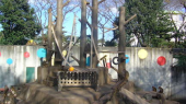 ≅入浴が原因?≅ 画像3