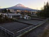 霜がよくわかる 画像2