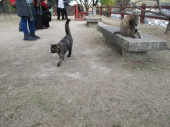 no title 画像1