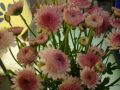 春は花