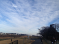 暖かすぎて・・・♪