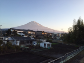 結構忙しかった 画像1