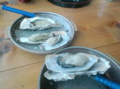 牡蠣食べ放題 画像2