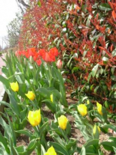 健康生活(080404） 画像1