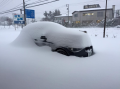 雪後曇