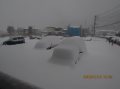 雪後曇