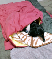 あっ　似てる？ 画像2