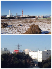５日ぶり♪ 画像1