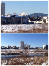 ５日ぶり♪ 画像3