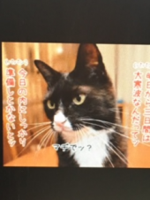 『大寒波襲来警戒！』 画像2