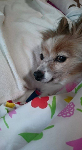 ☆昨年のしずか☆ 画像1