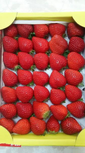 デスクワーク と 昼寝 画像1