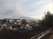 シャープのニュースで 画像1