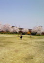 ＤＡＹキャンプ