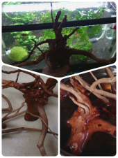 煮沸 画像3