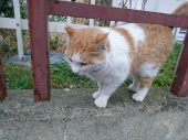 Saturday 画像2