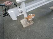Saturday 画像3
