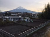 霜が降りる 画像2