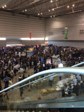 登校拒否の小学生か(ﾟOﾟ)＼(- -; 画像1