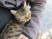 no title 画像1