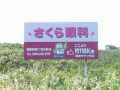 距離感の違い、スゲー