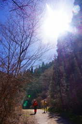 金剛山79 画像2