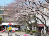第一回サクラまつり梅光宴 画像3