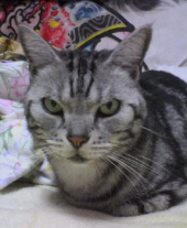 そろたぁ~そろたぁ~よ~ 画像1