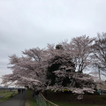最高の休日♪