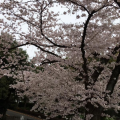 最高の休日♪