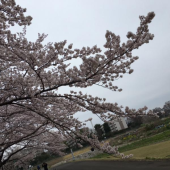 最高の休日♪ 画像3
